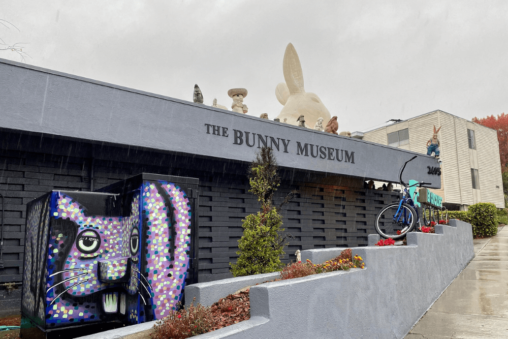 Image Credit Suiren2022 Wikipedia