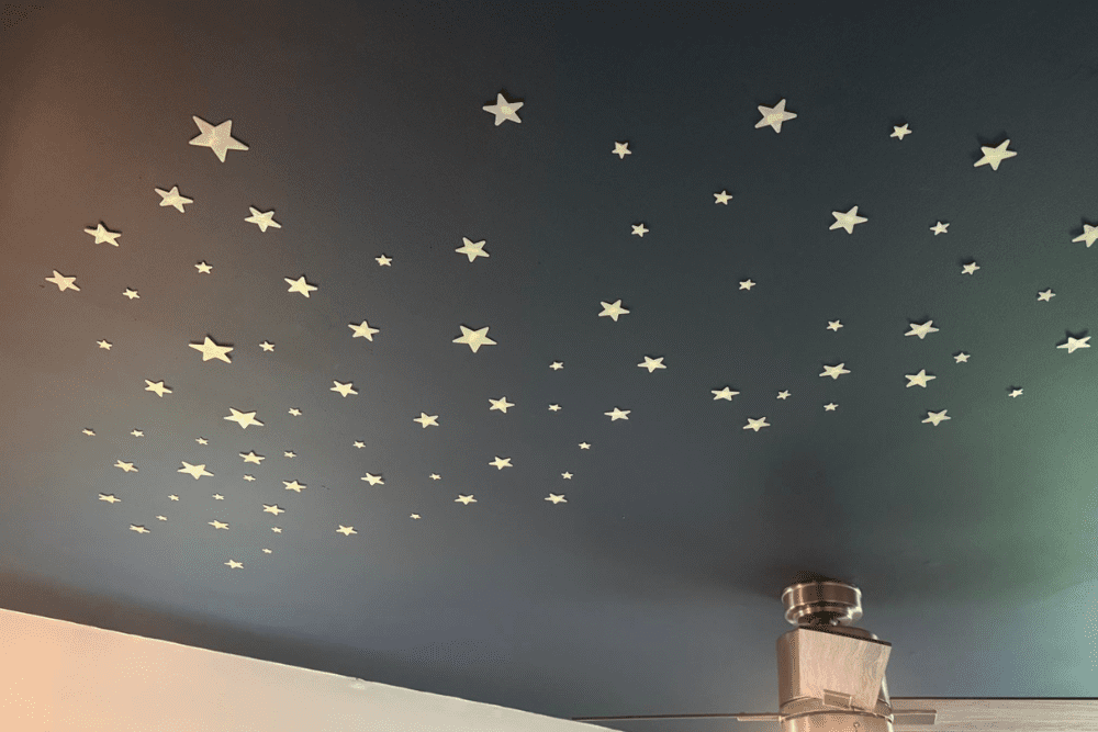 Image Credit Toni Stewart Facebook