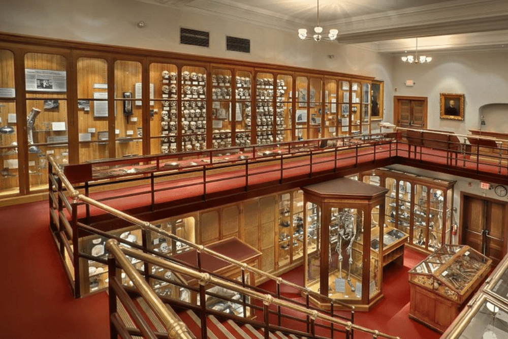 Image Credit Tripadvisor