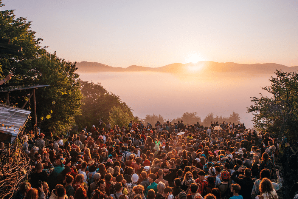 Meadows in the Mountains