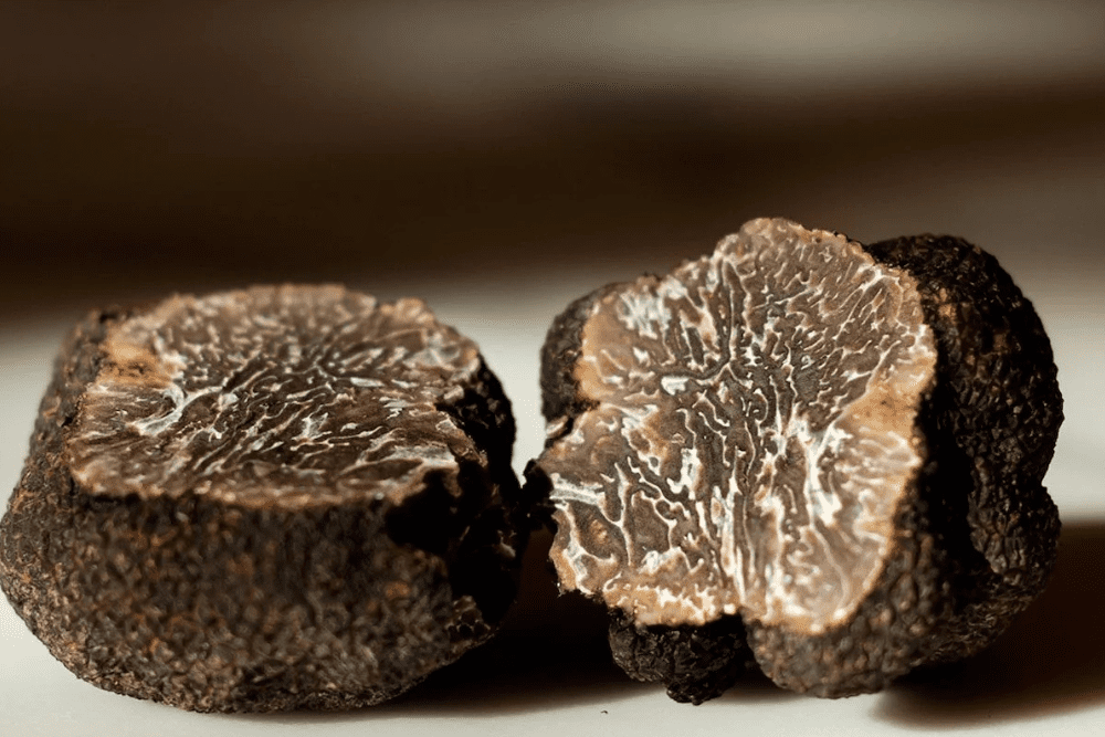 Napa Truffle Festival USA