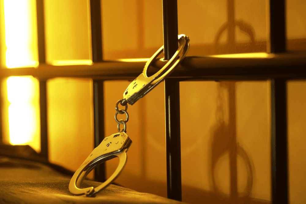 National Handcuff Day February 20