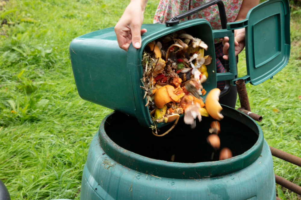 Organic Waste Into District Heating