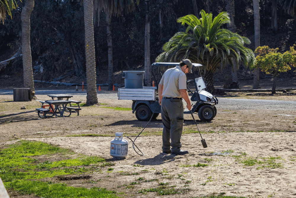 Park Ranger or Nature Guide