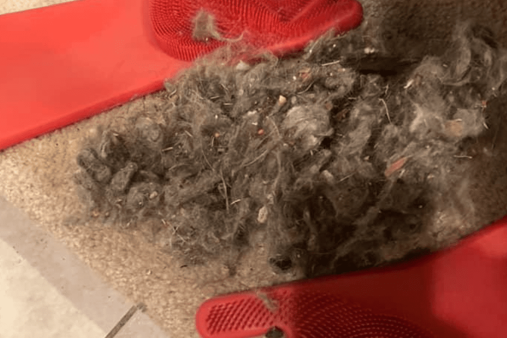 Remove Pet Hair in Seconds with a Rubber Glove