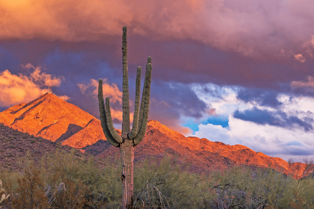 Scottsdale_Phoenix, Arizona