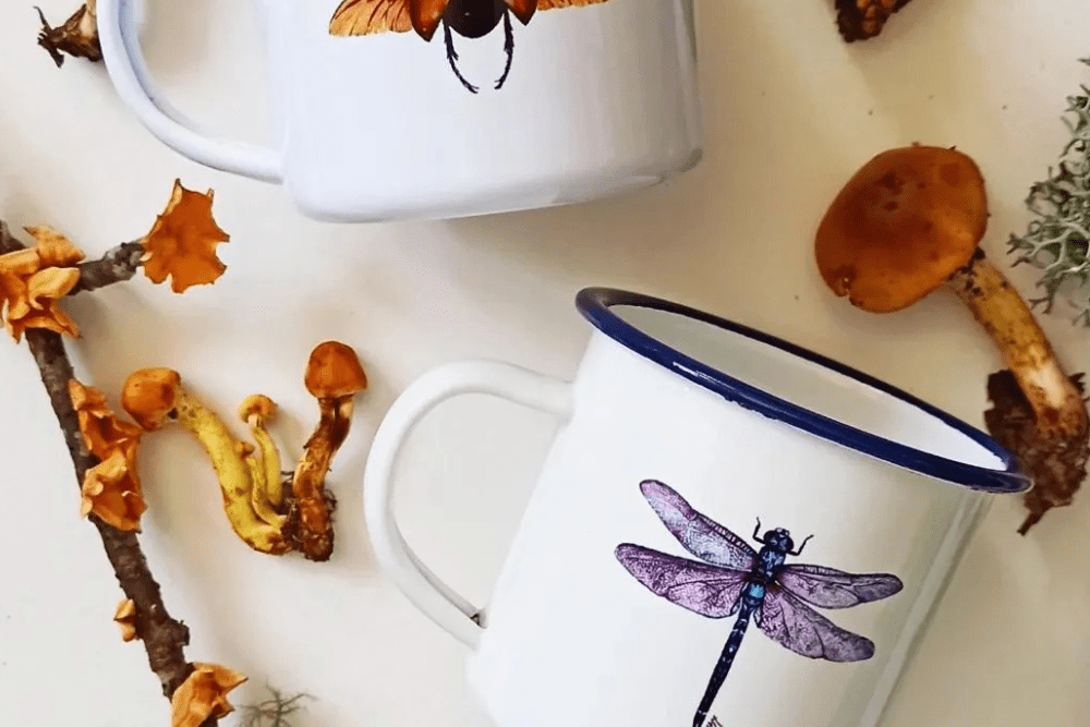 Swap Plastic for Glass and Ceramic