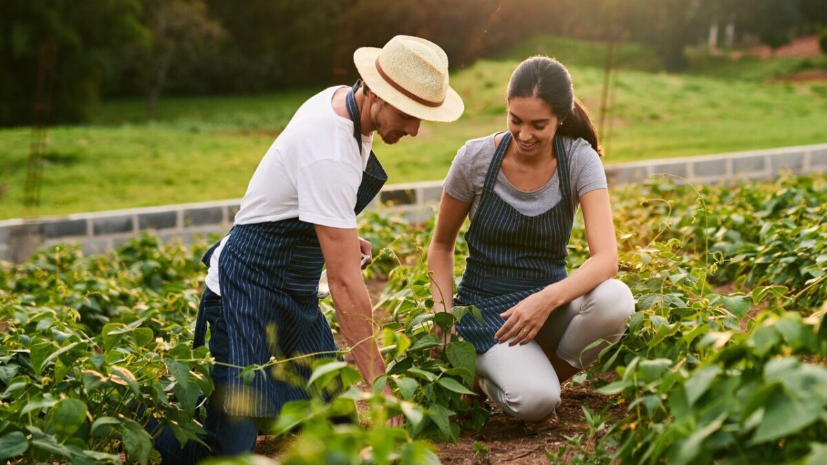 The 7 Places Where Community Living Actually Works