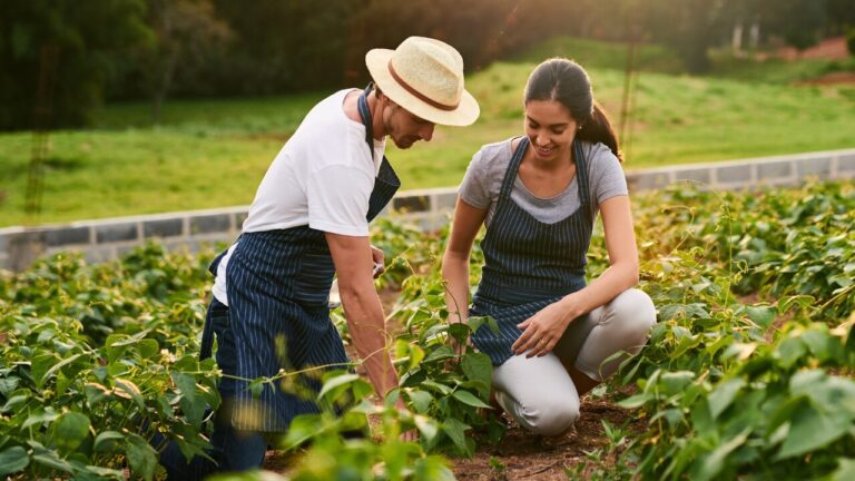 The 7 Places Where Community Living Actually Works