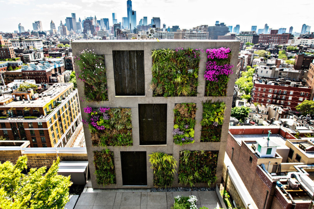 Vertical Gardens