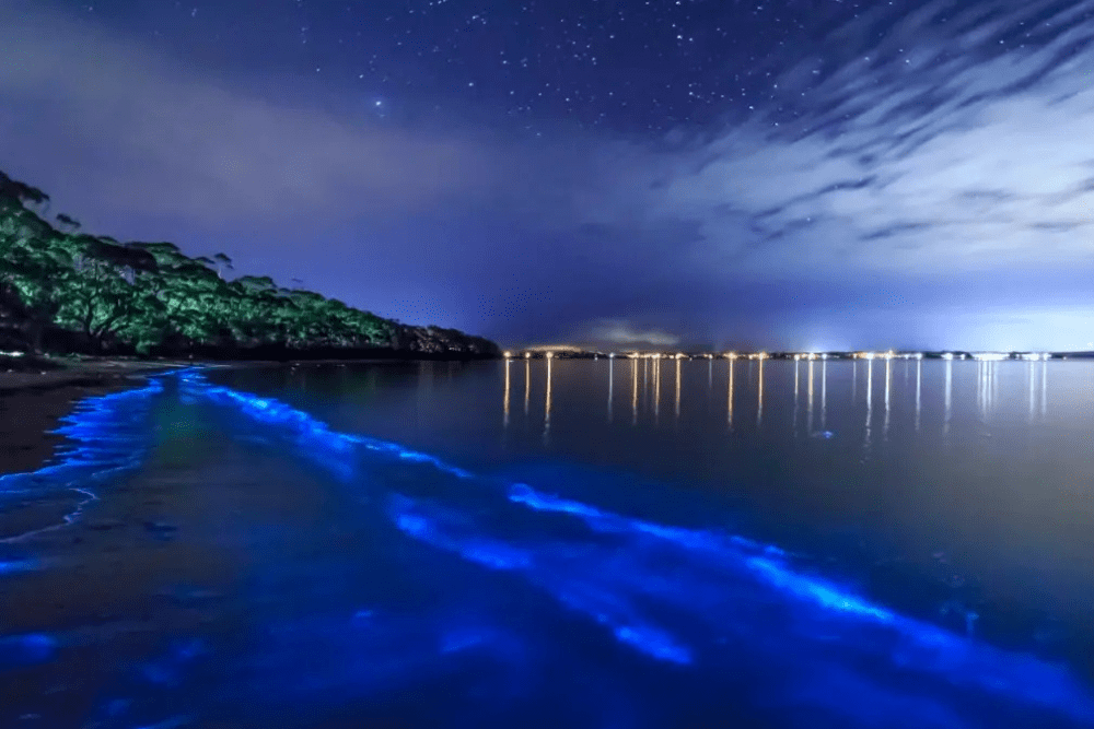 Image Credit Dorado Beach East Villa