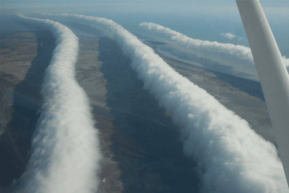 Image Credit Mick Petroff