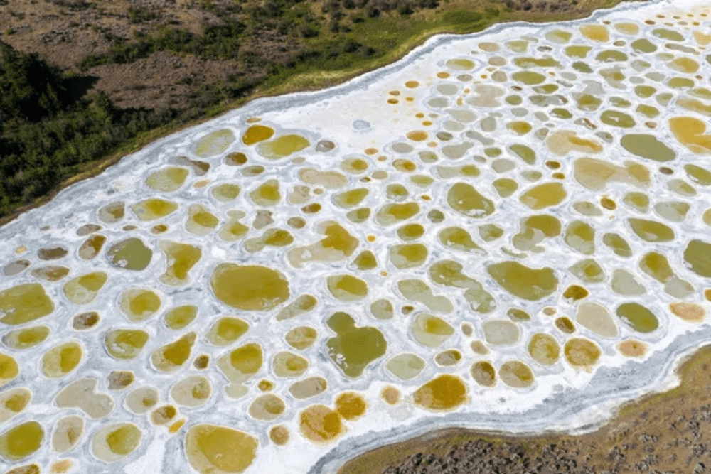 Image Credit Nalidsa Sukprasert Getty