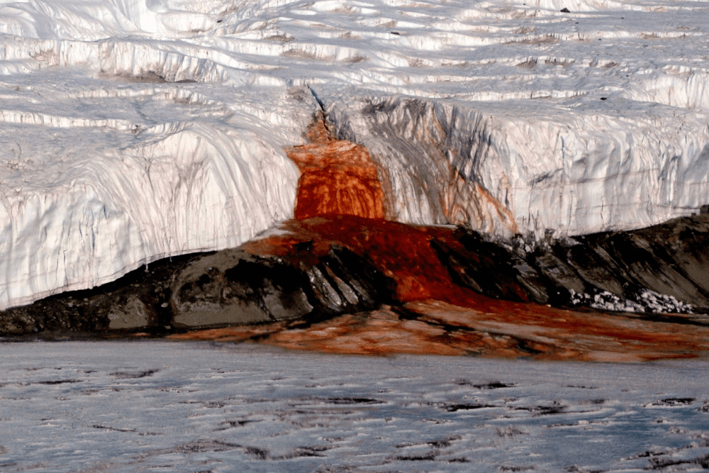 Image Credit National Science Foundation Peter Rejcek