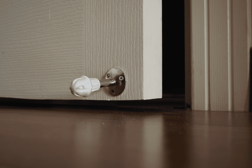 Image Credit Shutterstock 2025 12 02T032450.626