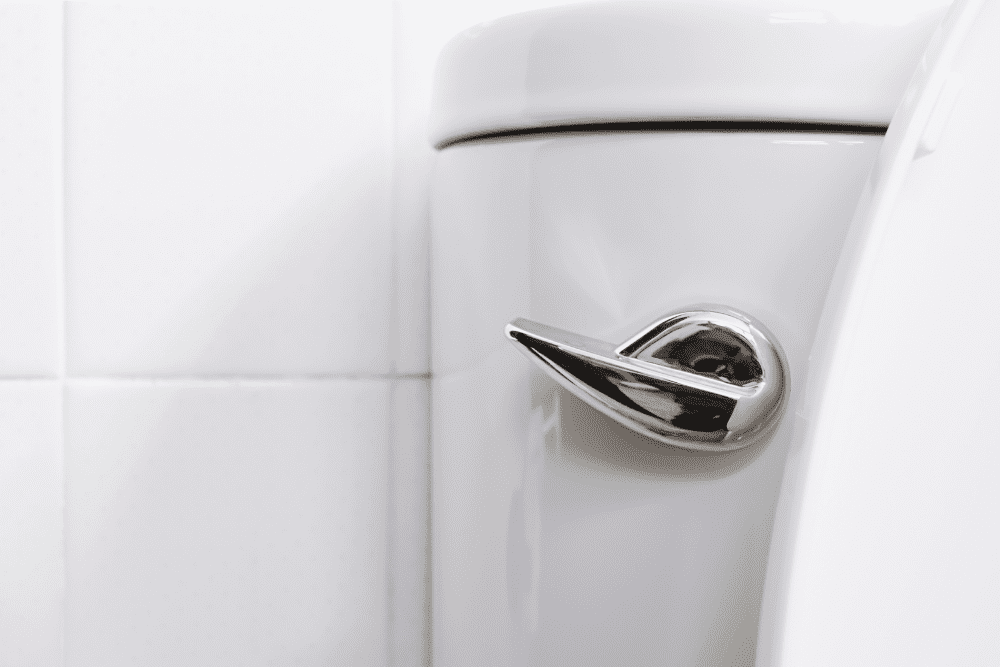 Image Credit Shutterstock 2025 12 02T032926.520