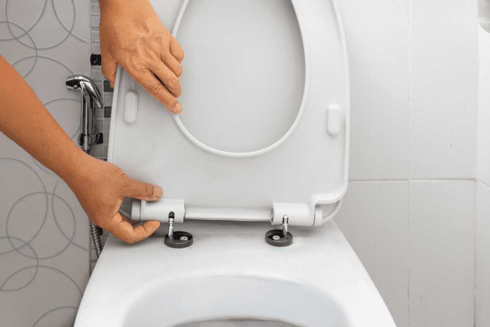 Image Credit Shutterstock 2025 12 02T033445.569