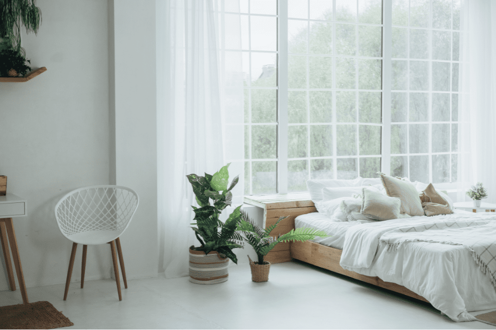 Image Credit Shutterstock 4