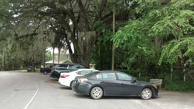 Paynes Prairie and the Bigger Picture Around Micanopy