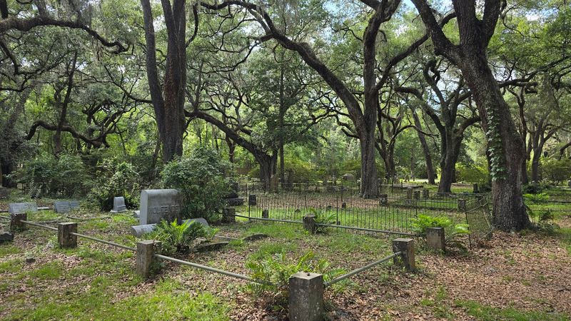 The Cemetery at the End of the Street