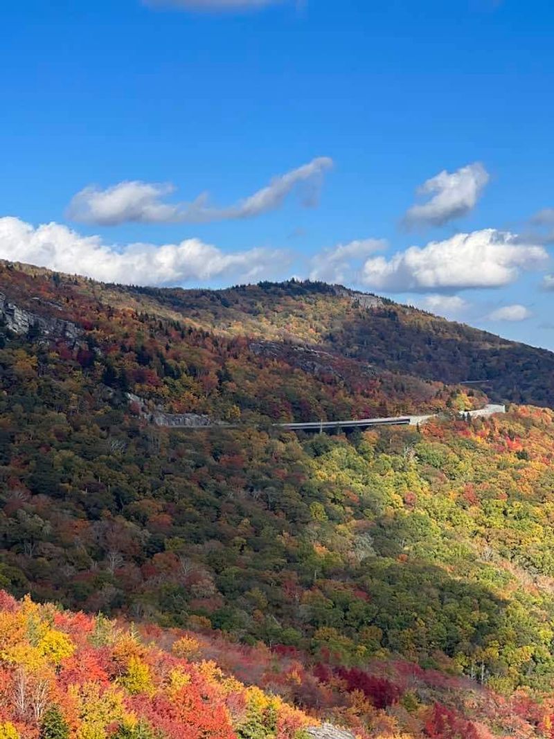 The Blue Ridge Parkway Experience