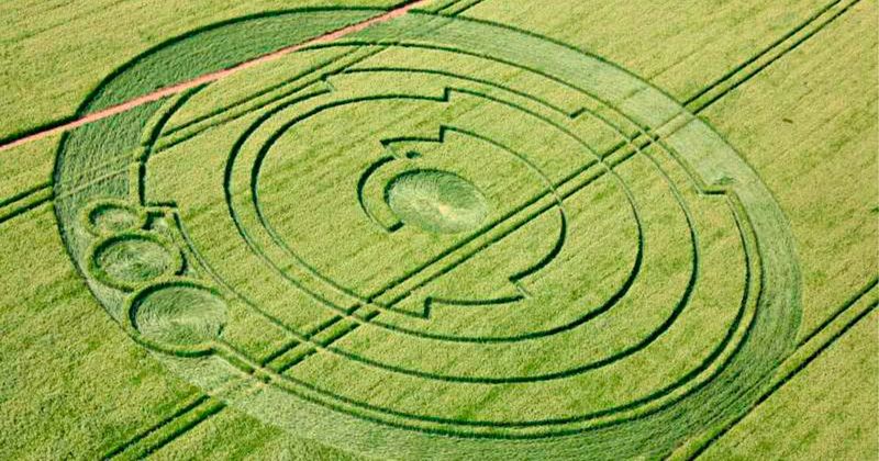The Crop Circle Craze