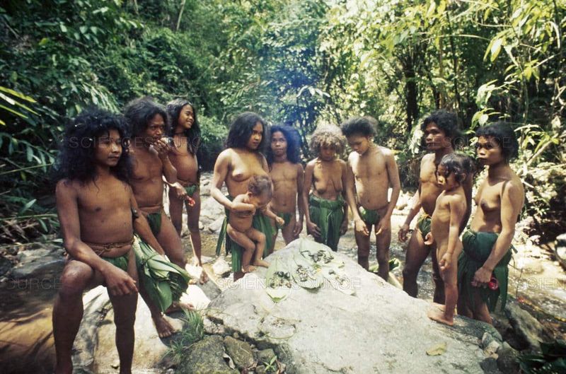 The Tasaday Tribe