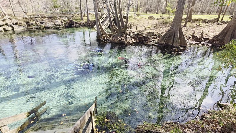 The crystal-clear spring water is the star