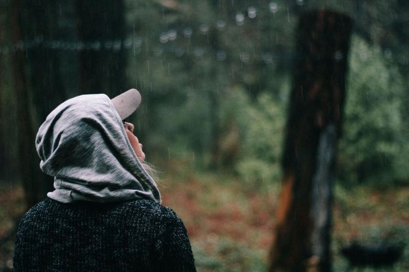 The witch in the woods is a metaphor for finally being left alone The witch in the woods is a metaphor for finally being left alone