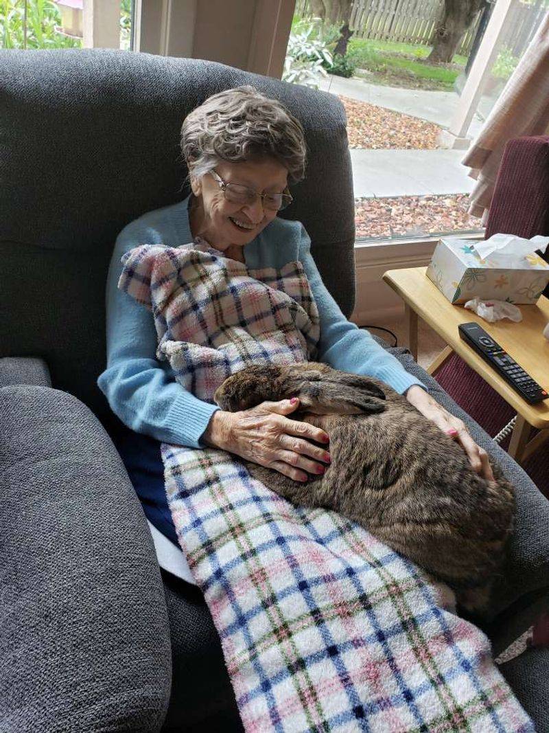They Feel Genuine Peace at Home They Feel Genuine Peace at Home