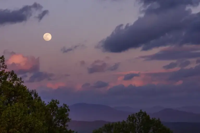 By the Full Moon in Late August, These Zodiac Signs Can Use the Date as a Mirror, Not a Map